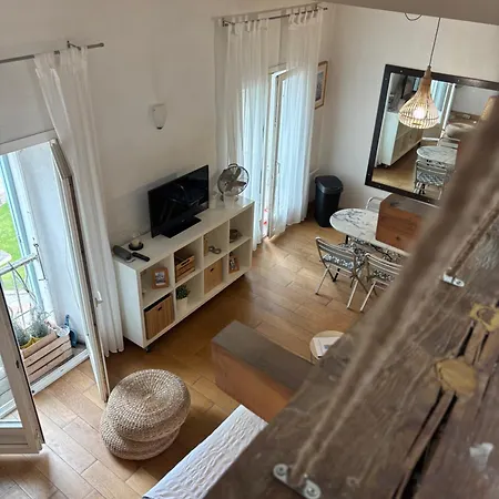 1er Consul * Ajaccio (Corsica)