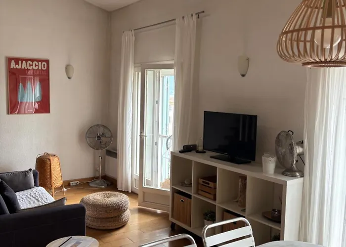 Apartment 1er Consul