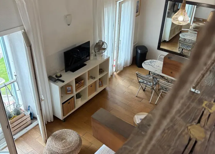 1er Consul * 아작시오