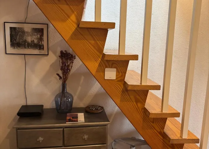 1er Consul * 아작시오